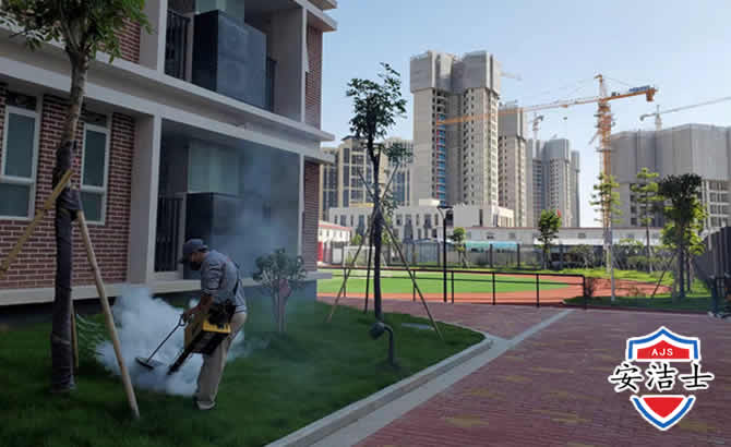 湖州工厂工地除白蚁