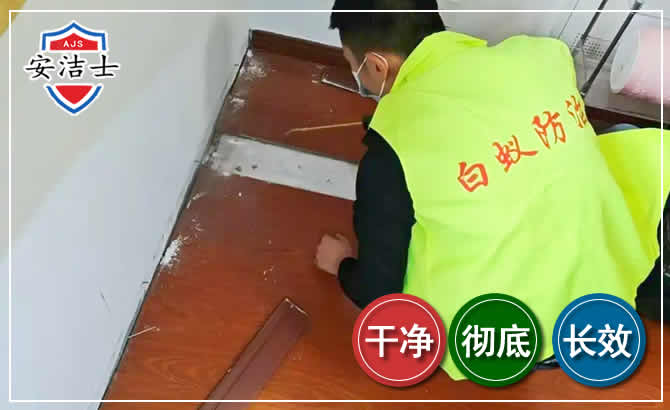 湖州除四害现场