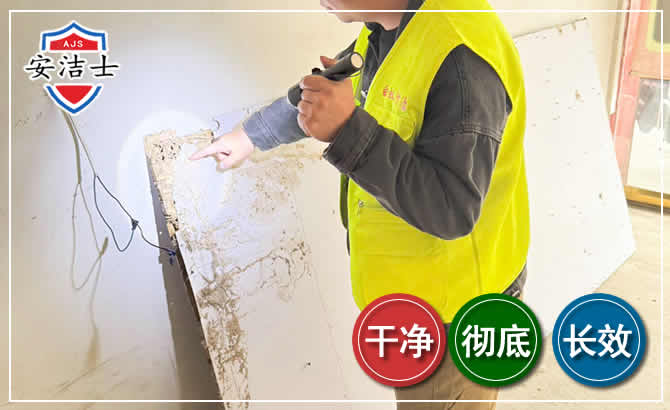 湖州除白蚁现场